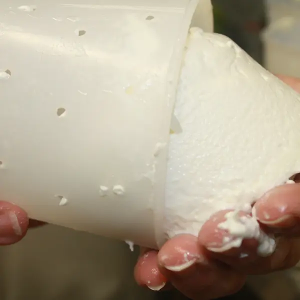 Fabrication de crottins : 2.