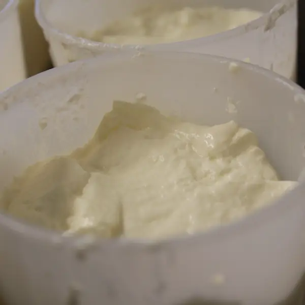 Fabrication de crottins : 4.