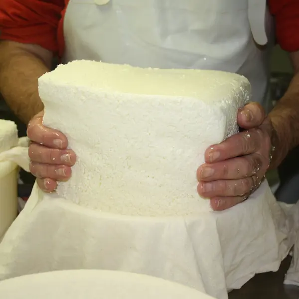 Fabrication de tommes et tomettes : 4.