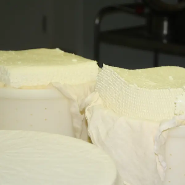 Fabrication de tommes et tomettes : 6.