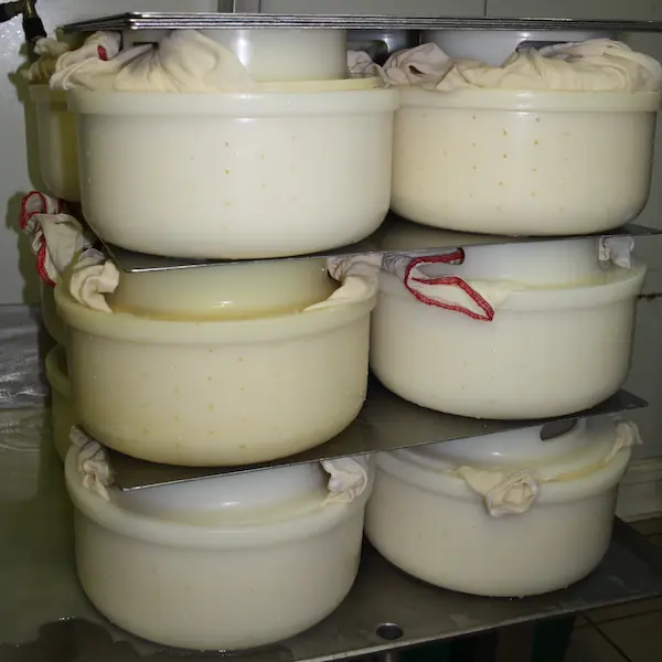 Fabrication de tommes et tomettes : 7.