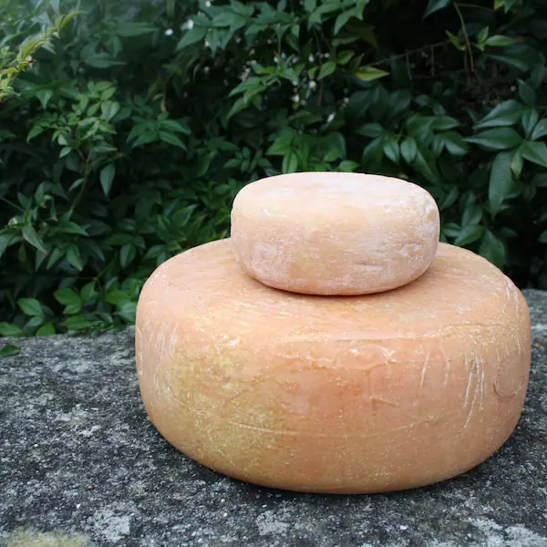 Tomme et tommette de brebis.
