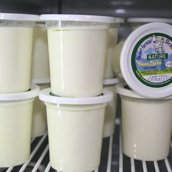 Fabrication de yaourts : 3.