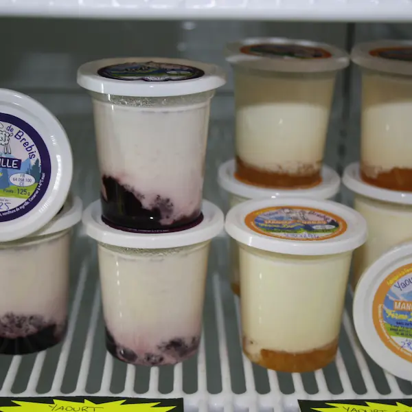 Fabrication de yaourts : 4.