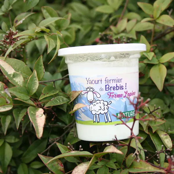 Yaourt fermier de brebis.